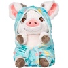 Pua