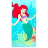 Ariel