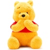Winnie the Pooh